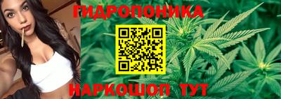 сатива Жуковский