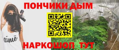 сатива Жуковский